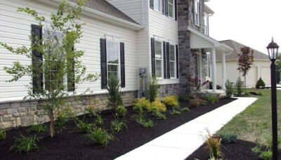new landscaping
